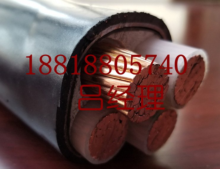 廣州荔灣電線電纜