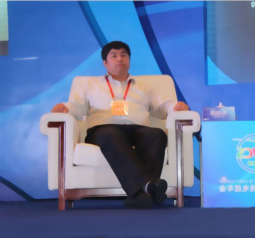 電力科學(xué)研討院副總工程師朱曉輝