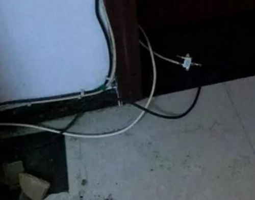 二哈拆家咬到電線,成果被電到炸毛,主人笑翻:小家伙長的真共同